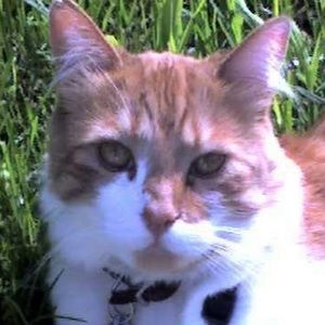 Meet your Posher, Colleen